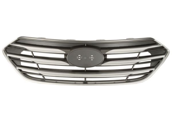 Grille Blic 6502-07-3182995P