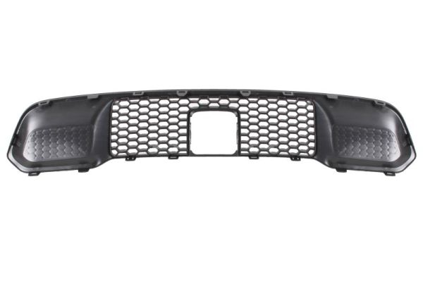 Blic Ventilatiegrille, bumper 6502-07-3207915P