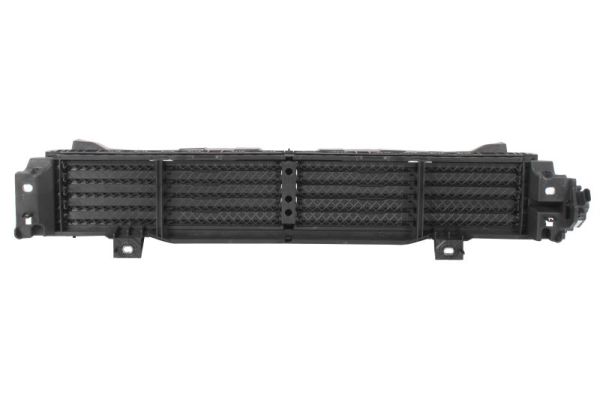 Blic Ventilatiegrille, bumper 6502-07-3455999P