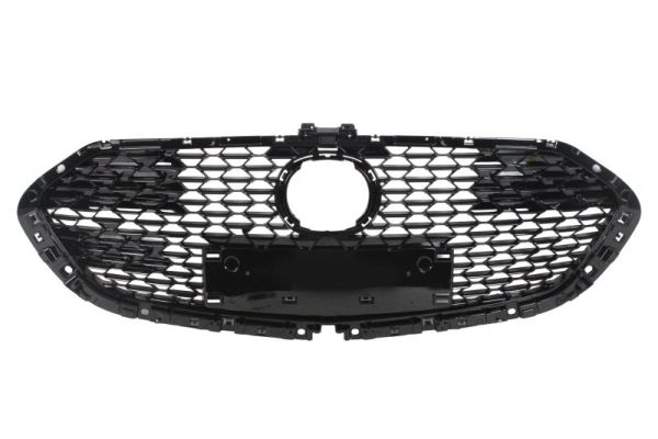 Radiateurgrille Blic 6502-07-3479990P