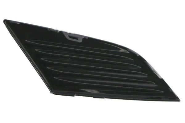 Blic Ventilatiegrille, bumper 6502-07-3493915P