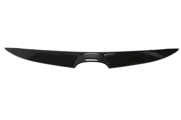 Sier- / Beschermingspaneel, radiateurgrille Blic 6502-07-3495991P