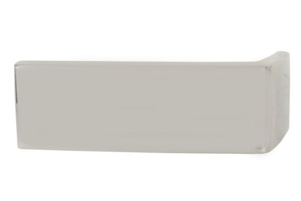 Sier- / beschermingspaneel, bumper Blic 6502-07-3501921P