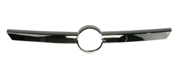 Sier- / Beschermingspaneel, radiateurgrille Blic 6502-07-5023210P