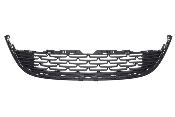 Blic Grille 6502-07-5053911P