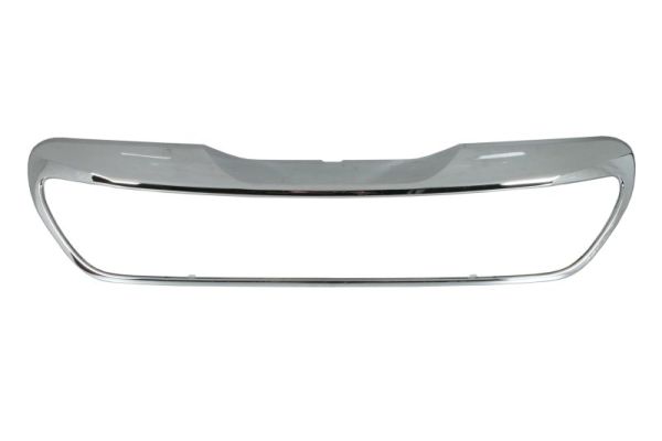 Sier- / Beschermingspaneel, radiateurgrille Blic 6502-07-5504991P