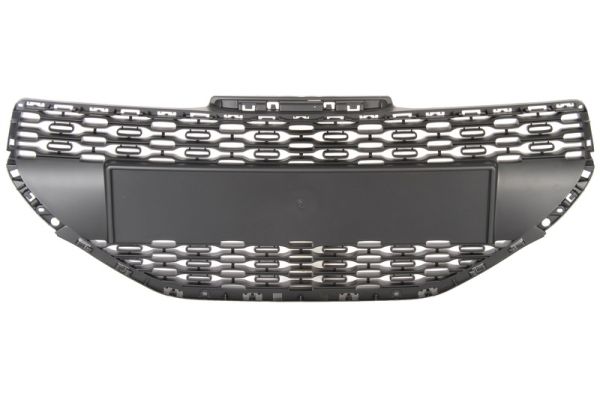 Grille Blic 6502-07-5509990Q