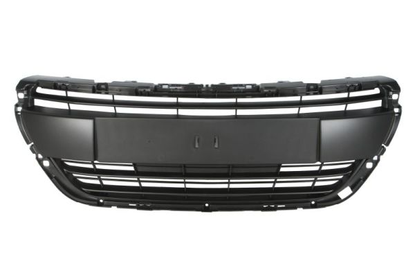 Grille Blic 6502-07-5509992P