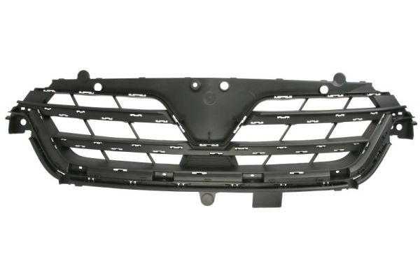 Blic Radiateurgrille 6502-07-6015991P