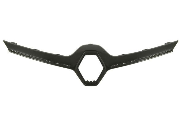 Sier- / Beschermingspaneel, radiateurgrille Blic 6502-07-6048992P