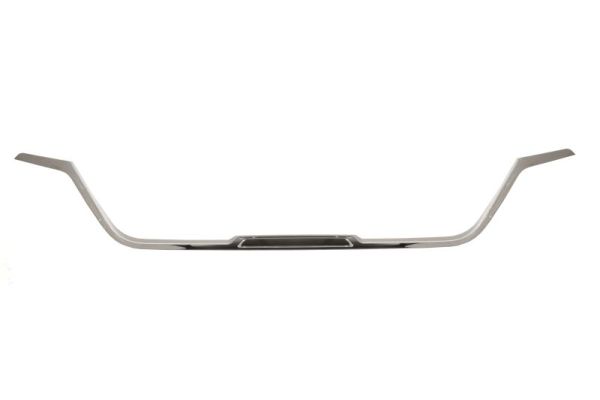 Sier- / Beschermingspaneel, radiateurgrille Blic 6502-07-6066991P