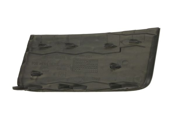 Blic Ventilatiegrille, bumper 6502-07-6456914P