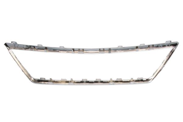 Blic Sier- / Beschermingspaneel, radiateurgrille 6502-07-6619990P