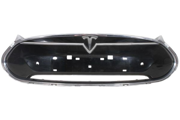 Radiateurgrille Blic 6502-07-7707990P