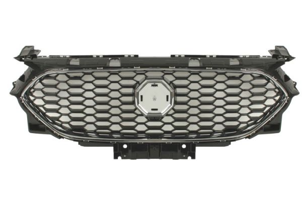 Blic Radiateurgrille 6502-07-7804990P