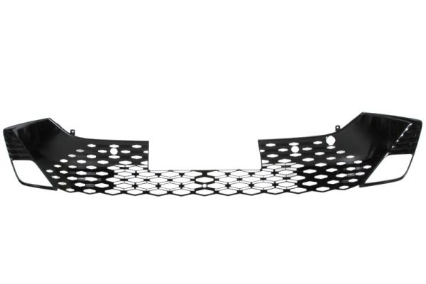 Blic Radiateurgrille 6502-07-7821990P