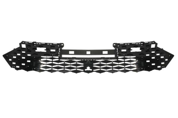 Blic Radiateurgrille 6502-07-7821990P