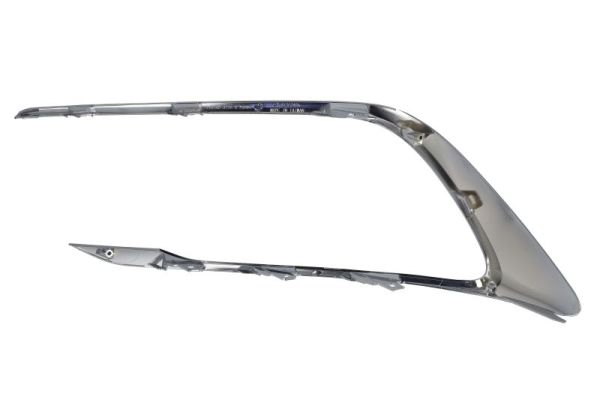 Blic Sier- / beschermingspaneel, bumper 6502-07-8118916FP