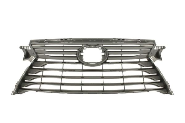 Radiateurgrille Blic 6502-07-8123993P