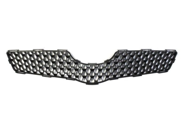 Grille Blic 6502-07-8155990P