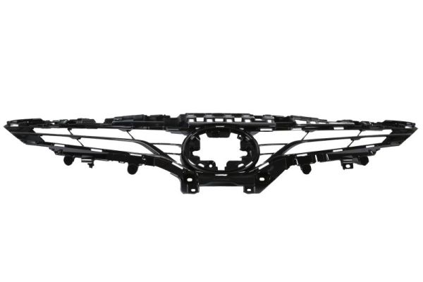 Radiateurgrille Blic 6502-07-8167997P