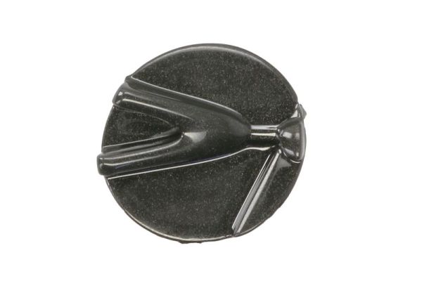 Blic Ventilatiegrille, bumper 6502-07-8171924P