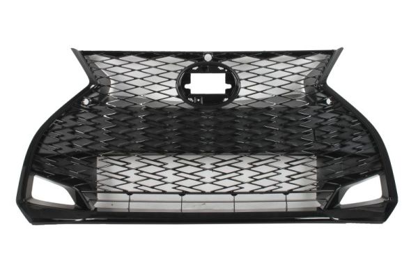 Radiateurgrille Blic 6502-07-8173994P