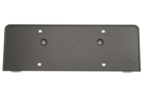 Blic Kentekenhouder 6509-01-0030920P