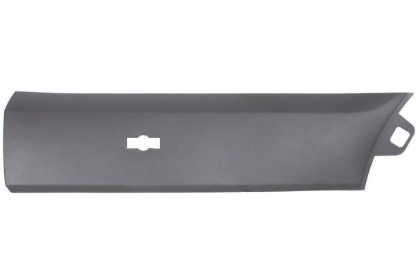 Sier- / beschermingspaneel, deur Blic 6601-02-2518428P