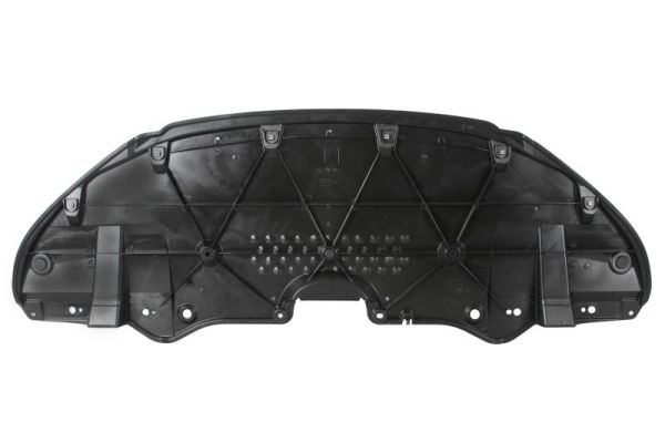 Blic Motor-/Veiligheidsbumper 6601-02-8126860Q