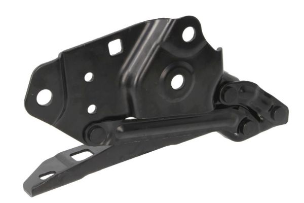 Blic Scharnier, motorkap 6802-00-1196452P