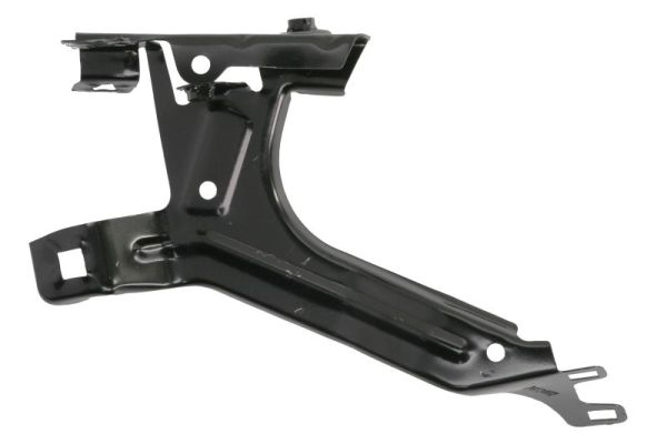 Blic Ophanging, spatbordfixering 7802-03-0078384P