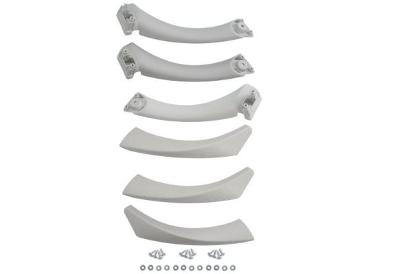 Handgreep, interieur Blic 8800-00-0090281P