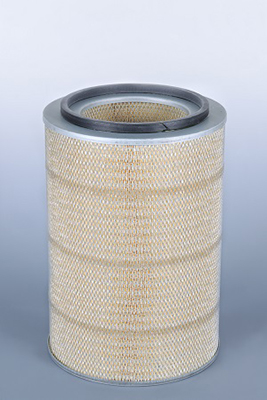 Luchtfilter Fleetguard AF25022