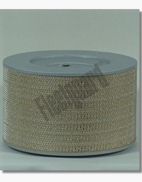 Luchtfilter Fleetguard AF25428