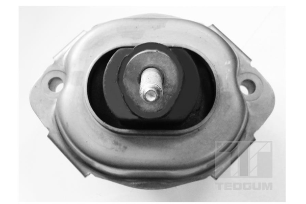 Tedgum Motorsteun 00088466