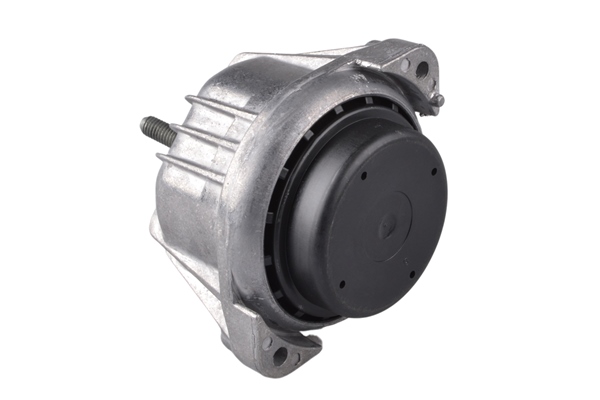 Tedgum Motorsteun 00088490