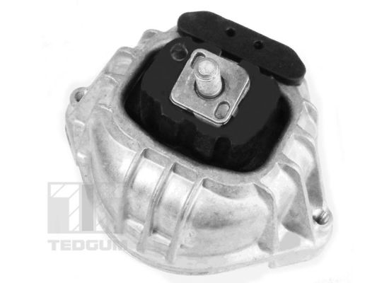 Tedgum Motorsteun 00088490