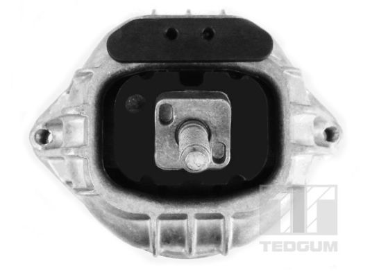 Tedgum Motorsteun 00088490