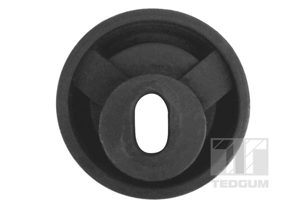 Tedgum Motorsteun 00117145