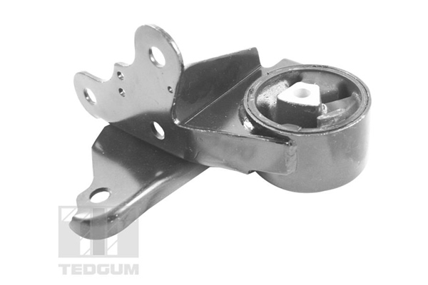 Tedgum Motorsteun 00131530