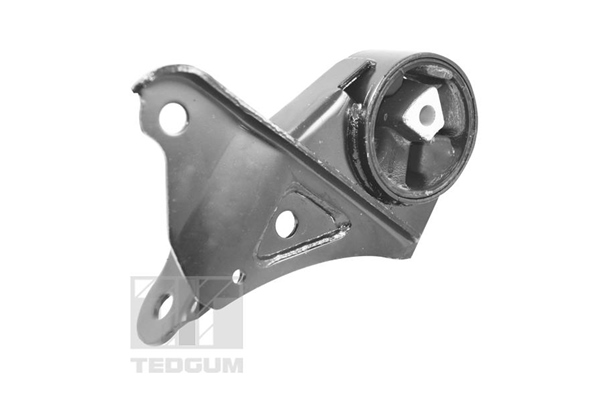 Tedgum Motorsteun 00131530