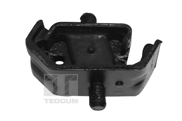 Tedgum Motorsteun 00162172