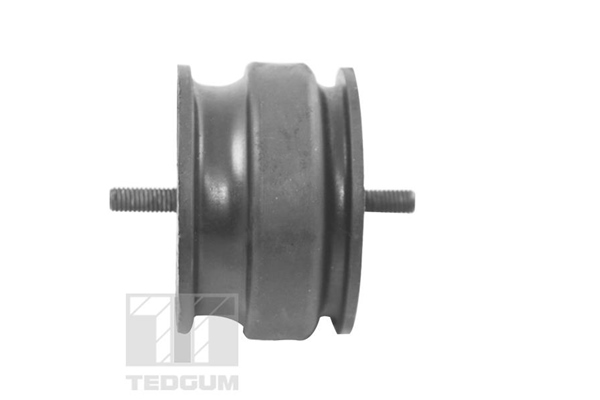 Tedgum Motorsteun 00221175