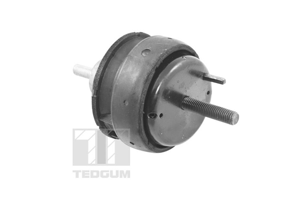 Tedgum Motorsteun 00221186