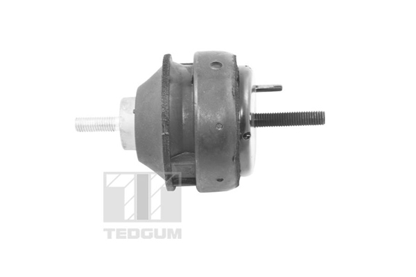 Tedgum Motorsteun 00221186