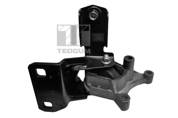 Tedgum Motorsteun 00226621