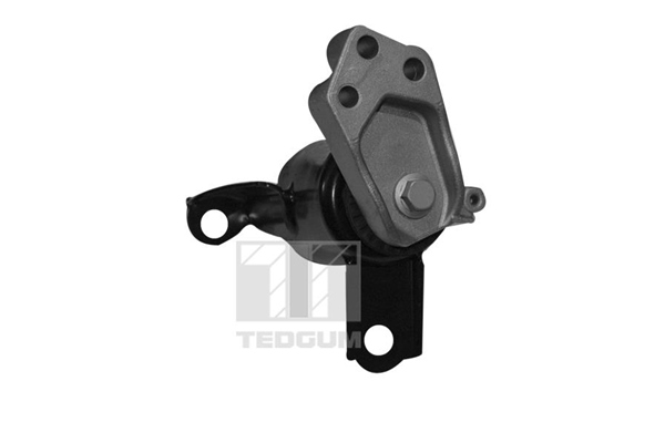 Tedgum Motorsteun 00228507