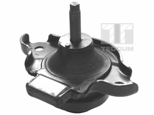Motorsteun Tedgum 00264810