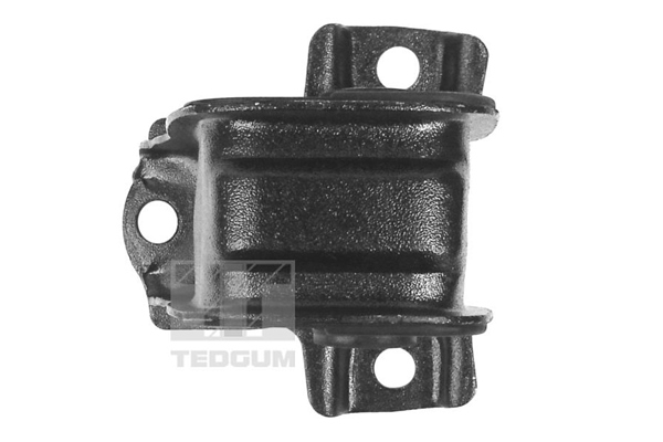 Tedgum Motorsteun 00264856